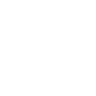 Nemo’s Surf School